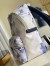 Louis Vuitton Discovery Backpack In Monogram Watercolor M45760