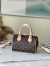 Louis Vuitton Speedy Bandouliere 20 Bag In Monogram Canvas M45957