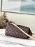 Louis Vuitton Boetie PM Bag In Monogram Canvas M45986