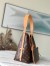 Louis Vuitton CarryAll MM Bag In Monogram Canvas M46197
