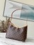 Louis Vuitton CarryAll PM Bag In Monogram Canvas M46203