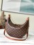 Louis Vuitton Loop Hobo Bag In Monogram Canvas M46311