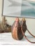 Louis Vuitton Loop Hobo Bag In Monogram Canvas M46311