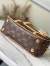 Louis Vuitton Cite Bag In Monogram Canvas M46321