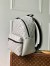 Louis Vuitton Discovery Backpack in Embossed Monogram Leather M46557