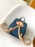 Louis Vuitton Venice Backpack in Monogram Denim M46836