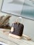 Louis Vuitton Alma Backpack in Monogram Canvas M47132