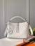 Louis Vuitton Beaubourg Hobo MM In Mahina Leather M56201