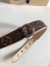 Louis Vuitton Baxter Dog Collar PM In Monogram Canvas M58072