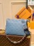 Louis Vuitton Coussin PM Bag In Monogram Lambskin M58699