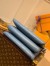 Louis Vuitton Coussin PM Bag In Monogram Lambskin M58699