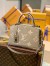 Louis Vuitton Petit Palais Bag In Bicolor Monogram Empreinte Leather M58914