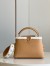 Louis Vuitton Capucines BB Bag in Taurillon Leather with Shearling M59267