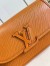 Louis Vuitton Buci Bag In Gold Epi Leather M59459
