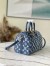Louis Vuitton Speedy Bandouliere 25 Bag In Monogram Denim M59609