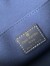Louis Vuitton Dauphine MM Bag In Monogram Denim M59631
