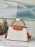 Louis Vuitton Capucines MM Bag in Canvas with Brown Leather M59969