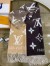 Louis Vuitton Reykjavik Gradient Scarf M73675