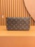 Louis Vuitton Felicie Pochette In Monogram Canvas M81896