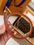Louis Vuitton Wallet on Chain Ivy Bag In Monogram Canvas M81911