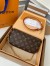 Louis Vuitton Wallet on Chain Ivy Bag In Monogram Canvas M81911