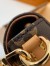 Louis Vuitton Wallet on Chain Ivy Bag In Monogram Canvas M81911