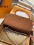 Louis Vuitton Wallet on Chain Ivy Bag In Monogram Canvas M81911