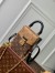 Louis Vuitton Camera Box Bag in Monogram Reverse Canvas M82465