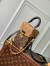 Louis Vuitton Camera Box Bag in Monogram Reverse Canvas M82465