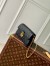 Louis Vuitton Metis Wallet On Chain in Monogram Empreinte Leather M82637