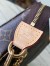 Louis Vuitton Pochette Accessoires In Monogram Canvas M82766