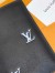 Louis Vuitton Pocket Organizer in Grained Leather M83192