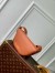 Louis Vuitton Low Key Bumbag in Brown Leather M83546