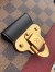 Louis Vuitton Vavin PM Bag In Damier Ebene Canvas N40109