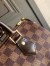Louis Vuitton Speedy 25 Bag In Damier Ebene Canvas N41365