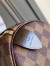 Louis Vuitton Speedy 25 Bag In Damier Ebene Canvas N41365