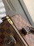 Louis Vuitton Speedy 25 Bag In Damier Ebene Canvas N41365