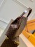 Louis Vuitton Graceful PM Bag In Damier Ebene Canvas N44044
