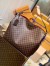 Louis Vuitton Graceful MM Bag In Damier Ebene Canvas N44045