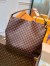 Louis Vuitton Graceful MM Bag In Damier Ebene Canvas N44045