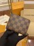 Louis Vuitton Zippy Coin Purse In Damier Ebene Canvas N63070