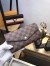 Louis Vuitton Sarah Wallet In Damier Ebene Canvas N63209