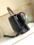 Louis Vuitton Capucines MM Bag with Python Leather Handle N92800