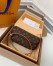 Louis Vuitton Wallet on Chain Ivy Bag In Monogram Canvas M81911