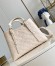 Louis Vuitton Babylone PM Tote in Monogram Empreinte Leather M11394