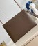 Louis Vuitton Takeoff Pouch in Mocha LV Aerogram Leather M11485