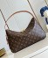 Louis Vuitton Slouchy PM Bag in Monogram Canvas M11952