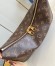 Louis Vuitton Slouchy PM Bag in Monogram Canvas M11952