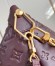 Louis Vuitton Coussin Hobo MM Bag in Monogram Leather M12072