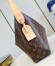 Louis Vuitton Slouchy MM Bag in Monogram Canvas M12098